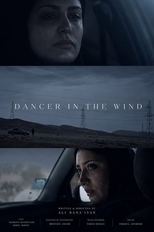 Dancer In The Wind