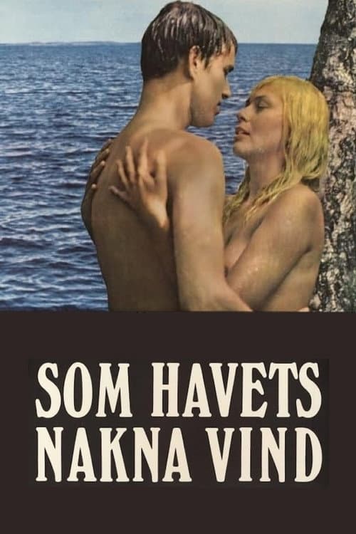 One Swedish Summer