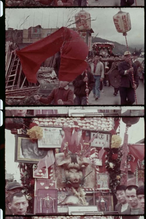 Archive / The Sacred Pig Competition of Sansia