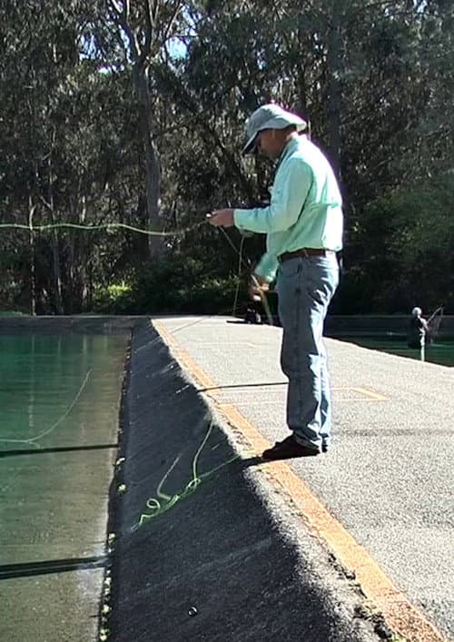 Fly Line