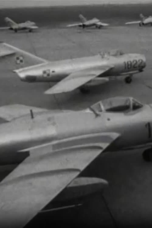 The Pilots