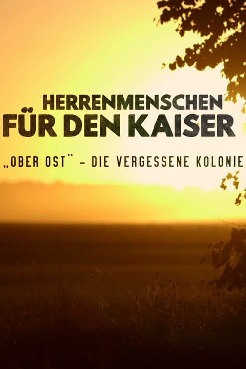 Ober Ost: The Forgotten Colony in the Heart of Europe