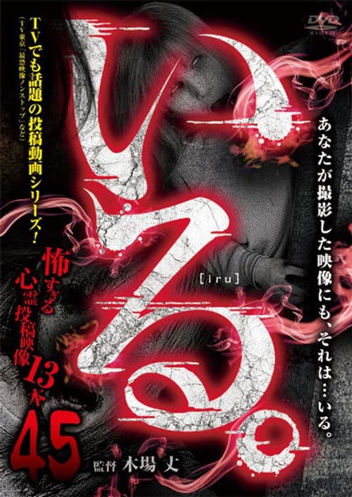 「Iru.」~ Kowasugiru Tōkō Eizō 13-hon ~ Vol.45