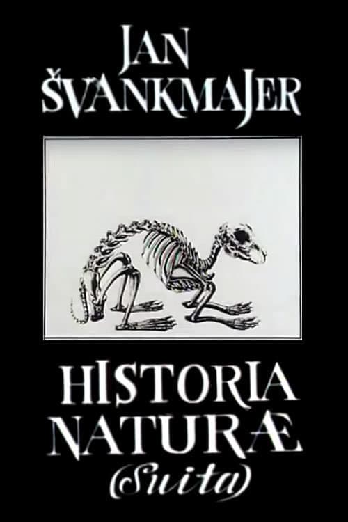 Natural History Suite