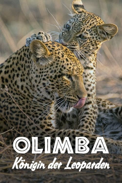 The Leopard Legacy