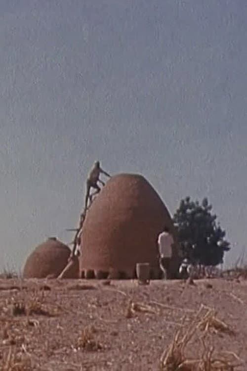 Bawra