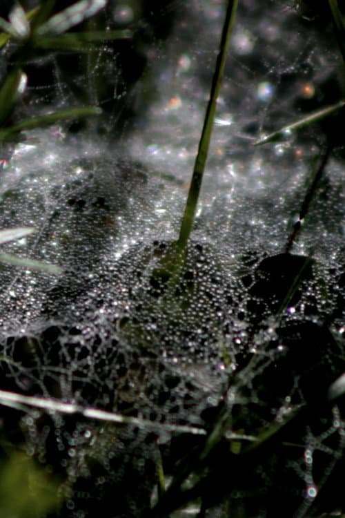 Refractions