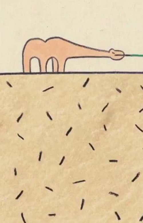 Essay in the Desert