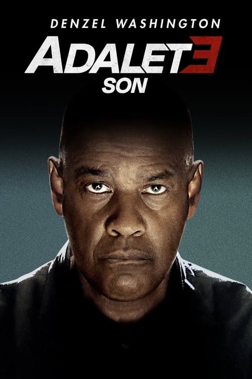 The Equalizer 3