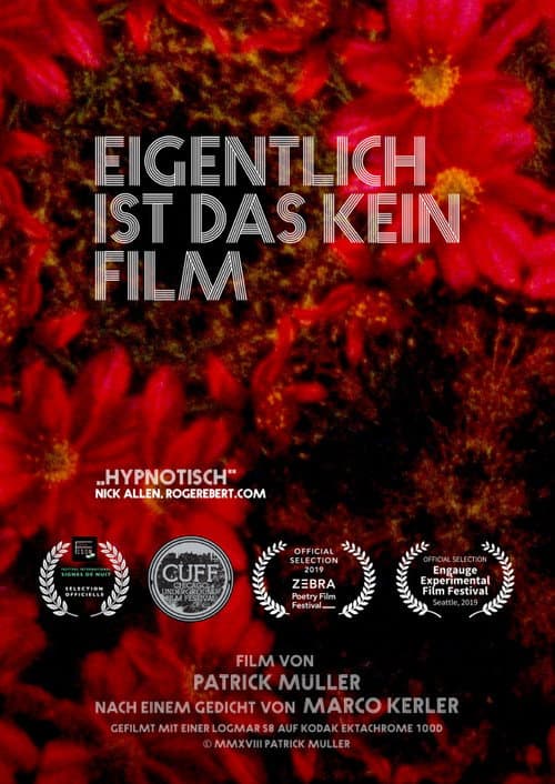 Actually, This Is Not a Film