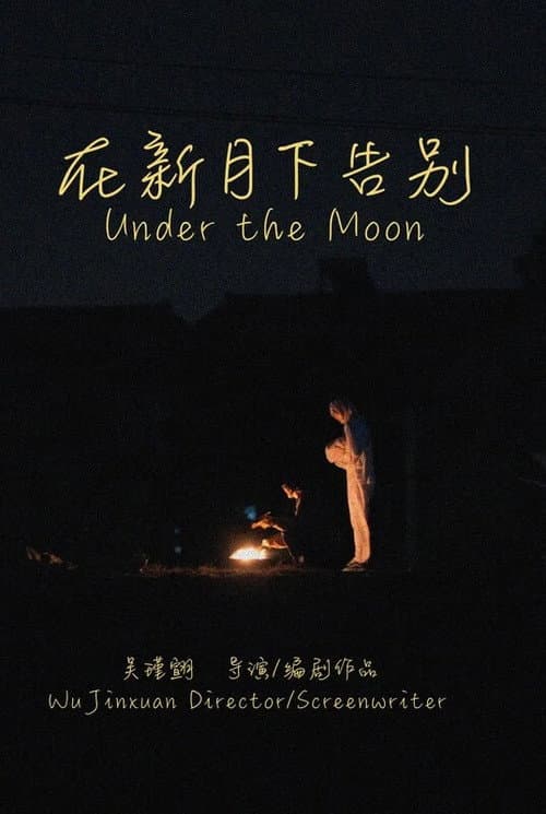在新月下告别