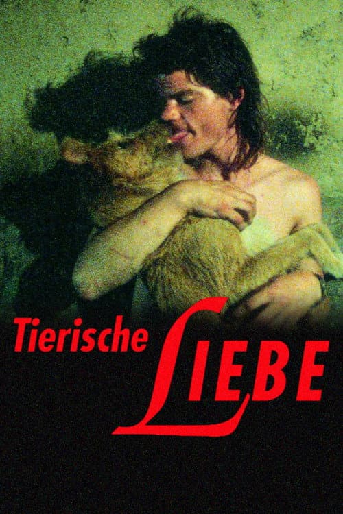 Animal Love
