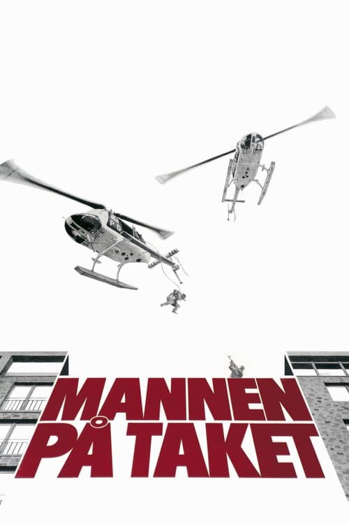 Man on the Roof