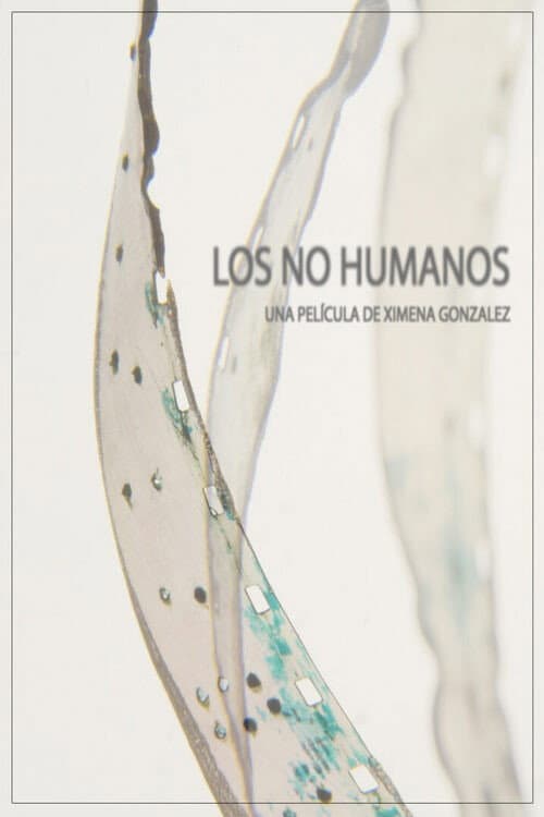 The Non-Humans