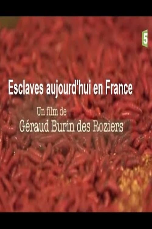 Esclaves aujourd'hui en France
