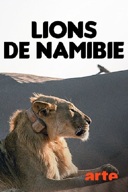 Desert Lions of the Namib - Departure and Return