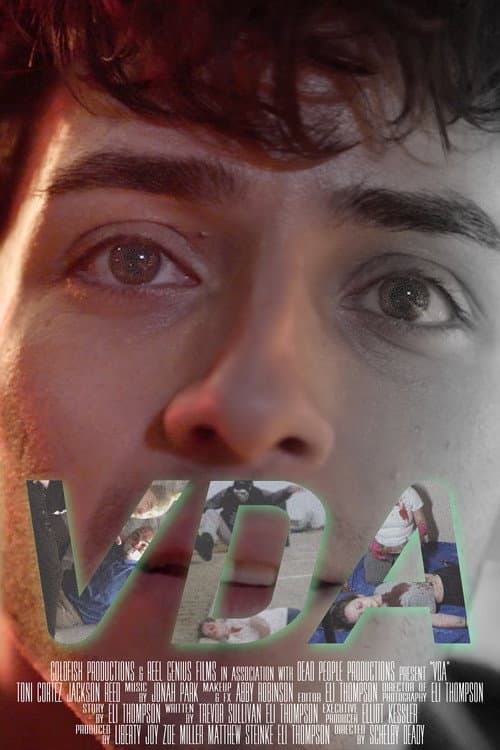 VDA