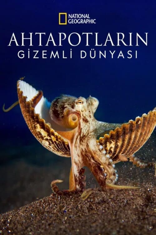 Secrets of the Octopus
