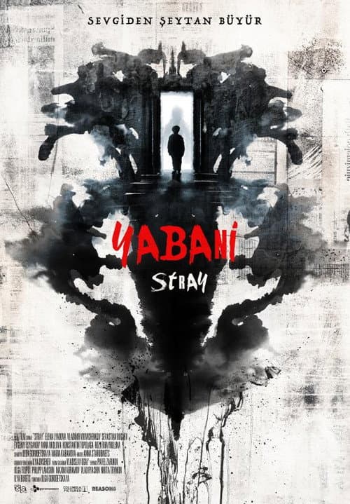 Stray