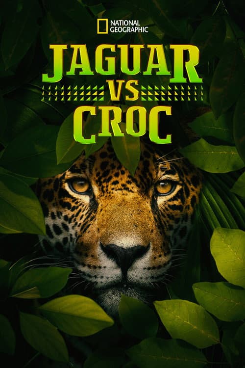 Jaguar vs. Krokodille