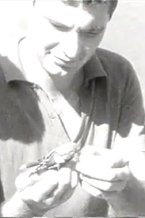 Ozhelanda