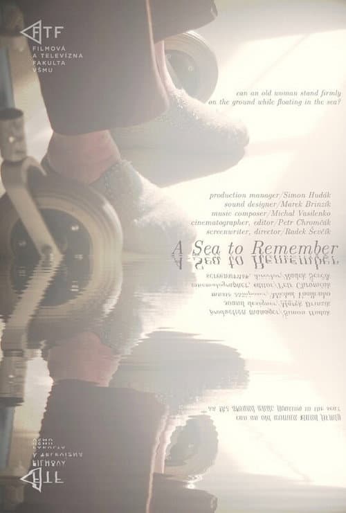 A Sea to Remember