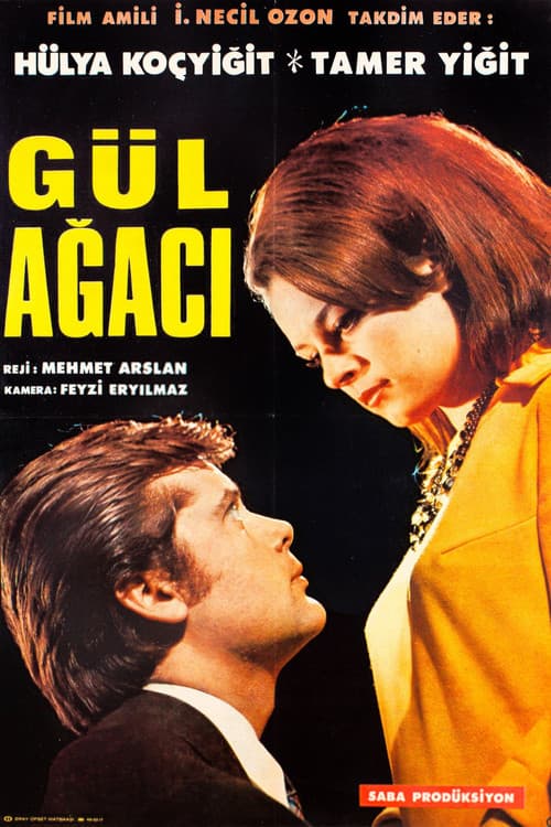 Gül Ağacı