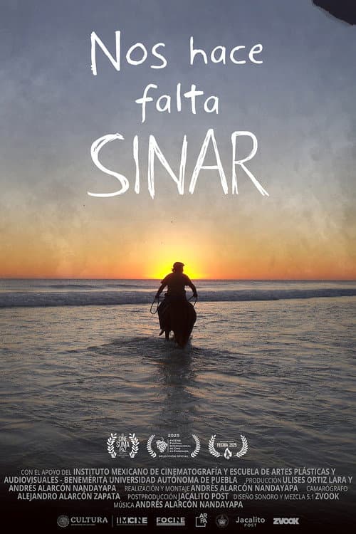 Nos hace falta Sinar
