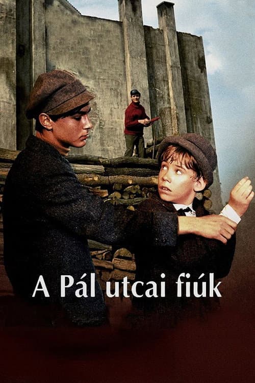 The Boys of Paul Street