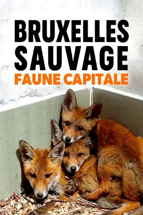 Brussels, the Wild Side
