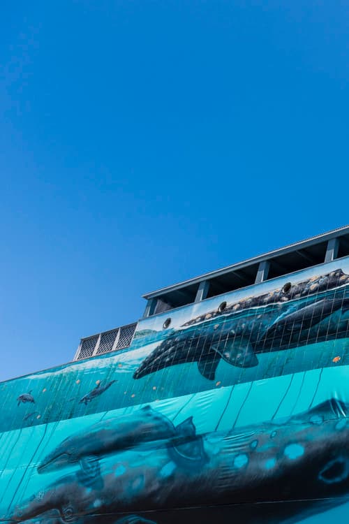 Ocean Stories: Wyland