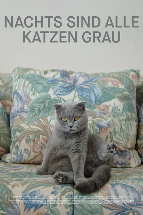 All Cats Are Grey in the Dark