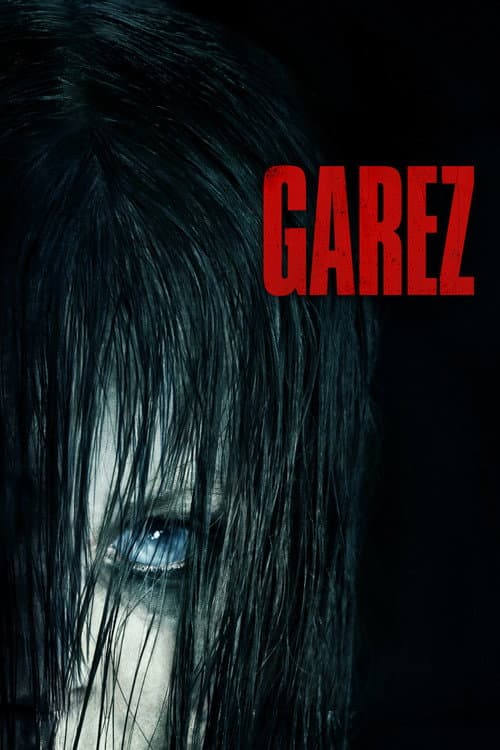 The Grudge