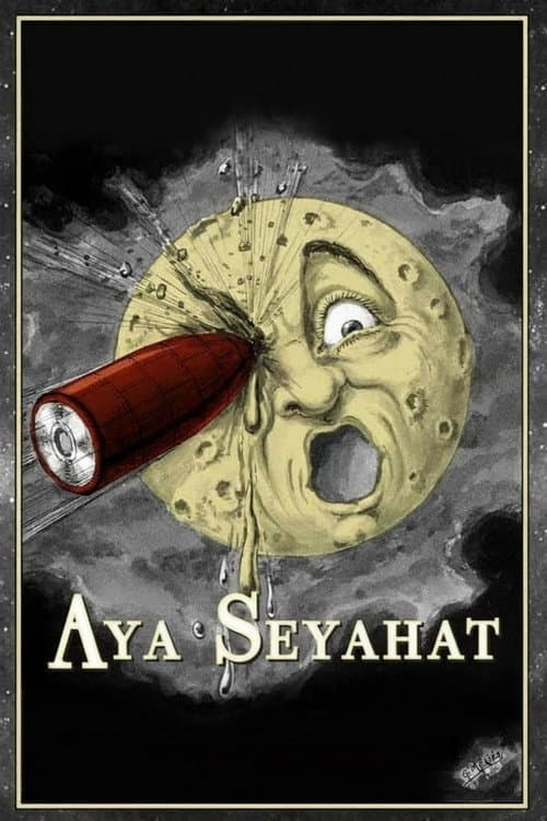 A Trip to the Moon
