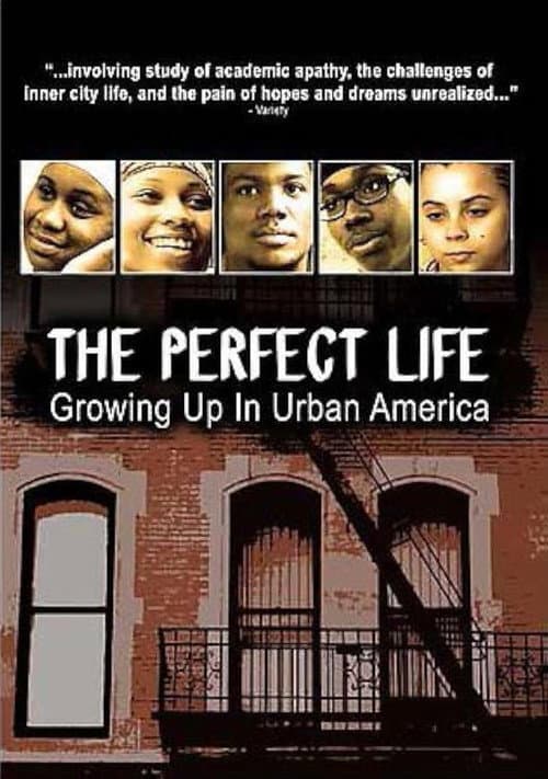 The Perfect Life