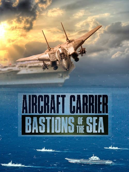 Aircraft Carriers: Bastions Of The Sea