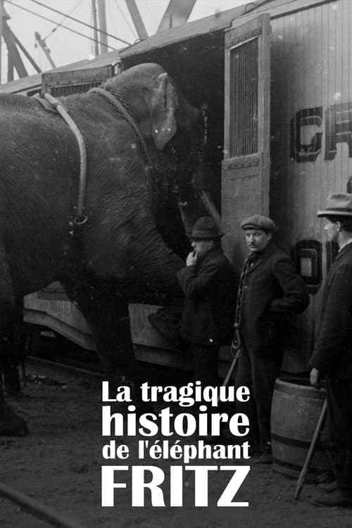 The Tragic Story of Fritz the Elephant