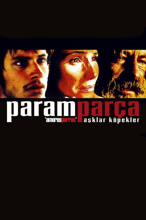 Amores Perros