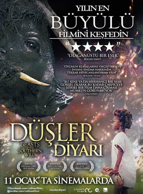 Beasts of the Southern Wild