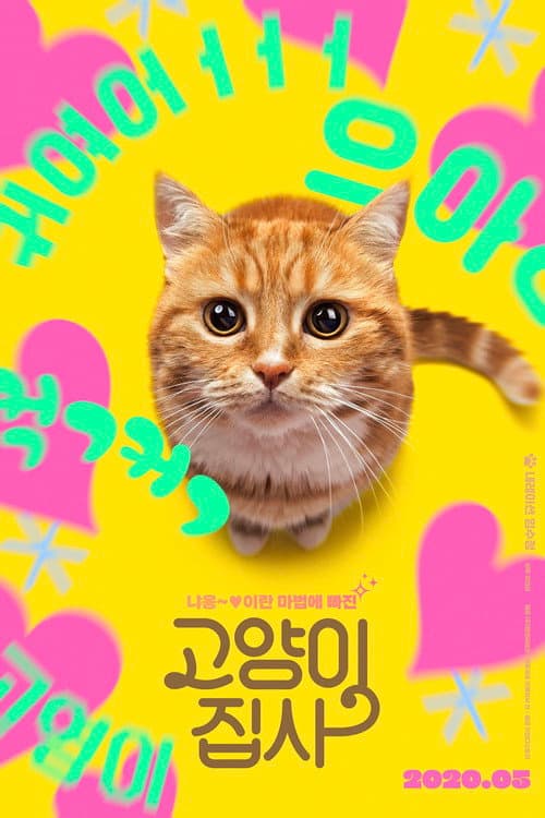 Our Cat