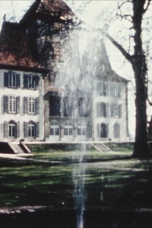 13 Bern Museums