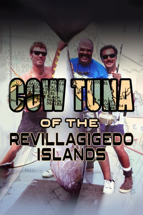 Cow Tuna at the Revillagigedo Islands