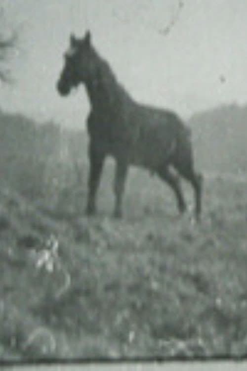 Golan