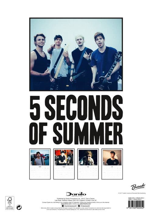 5 Seconds of Summer - Rock in Rio Ao Vivo