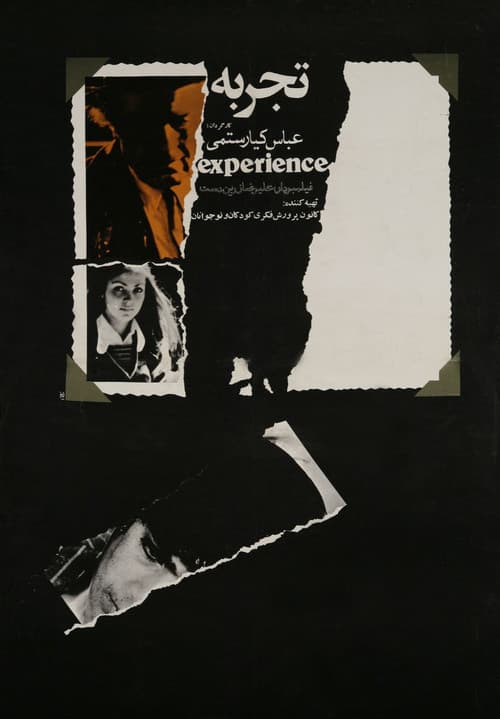 Experience