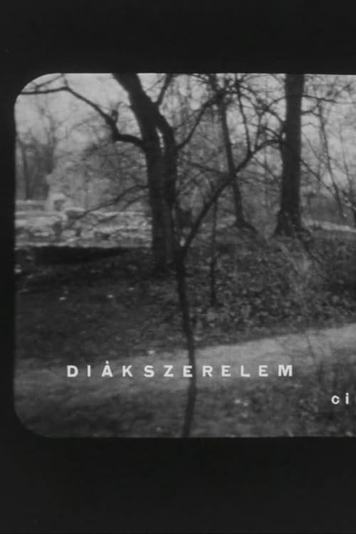 Diákszerelem