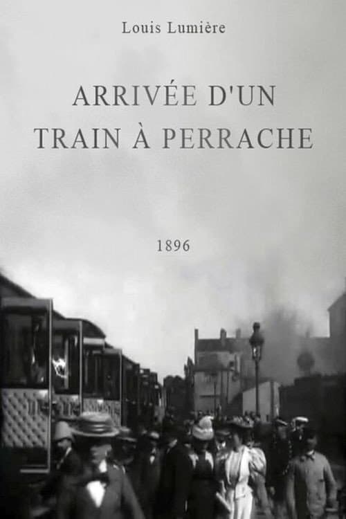Arrival of a Train at Perrache
