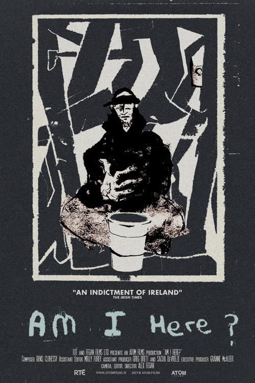 Am I Here? Homeless in Ireland