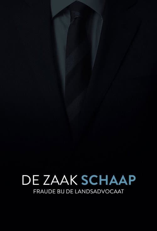De Zaak Schaap: fraude bij de landsadvocaat