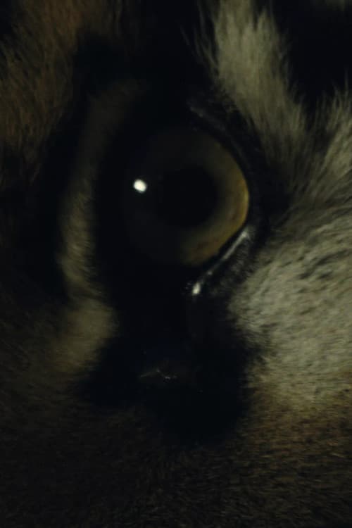 The Haunted